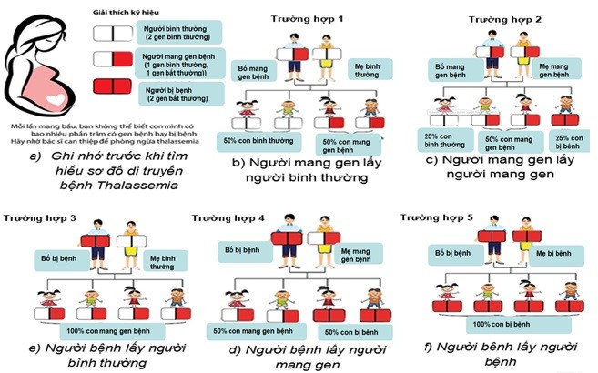 Chung tay vì Thalassemia – Đoàn kết cộng đồng, ưu tiên người bệnh