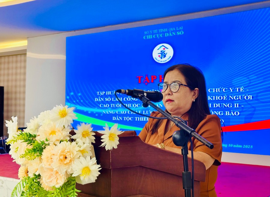 Gần 300 viên chức dân số Gia Lai tập huấn nâng cao năng lực, kỹ năng chăm sóc sức khỏe người cao tuổi