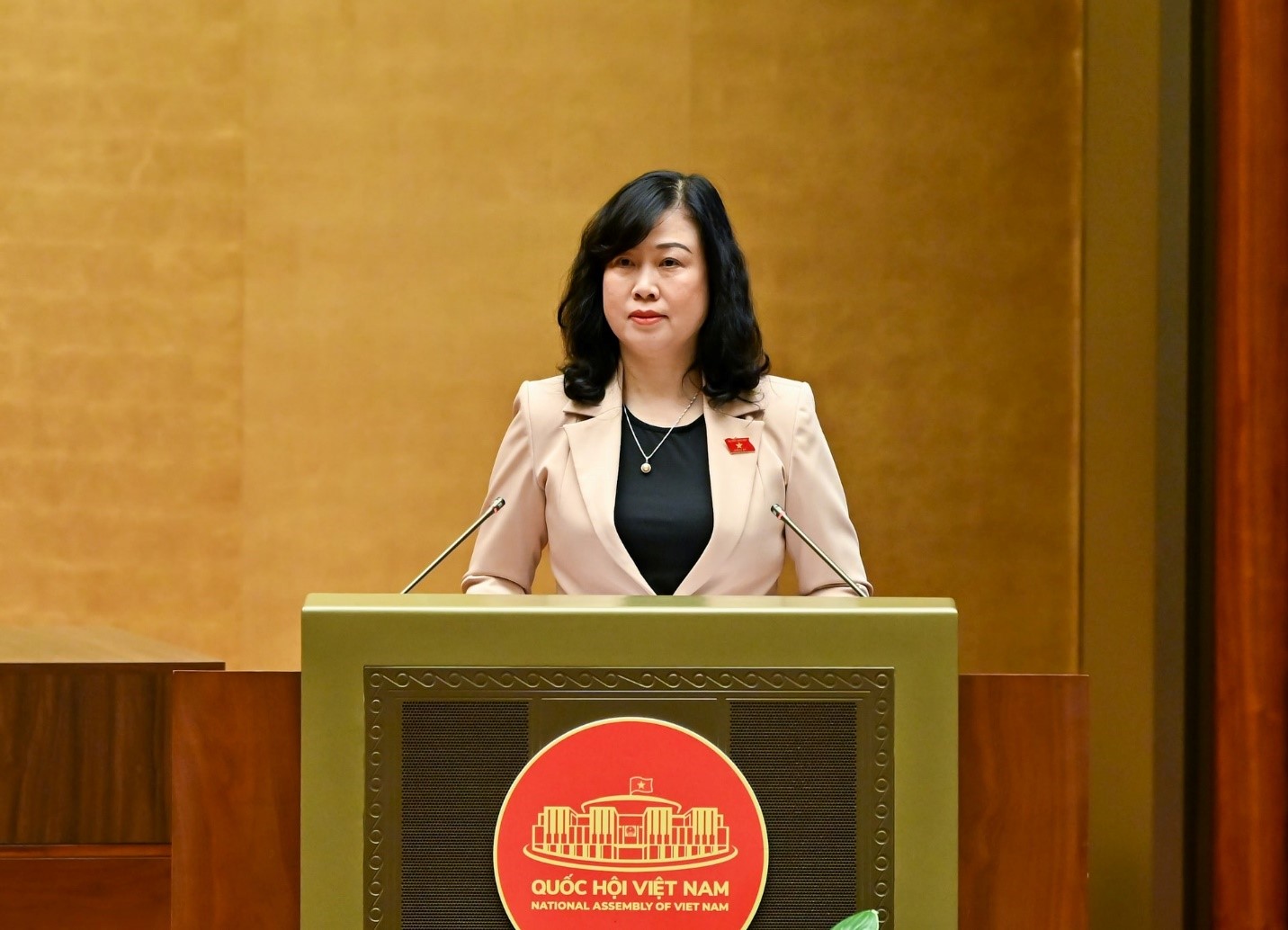 Dành gần 126 nghìn tỷ đồng cho công tác chăm sóc sức khỏe, dân số trong 10 năm tới