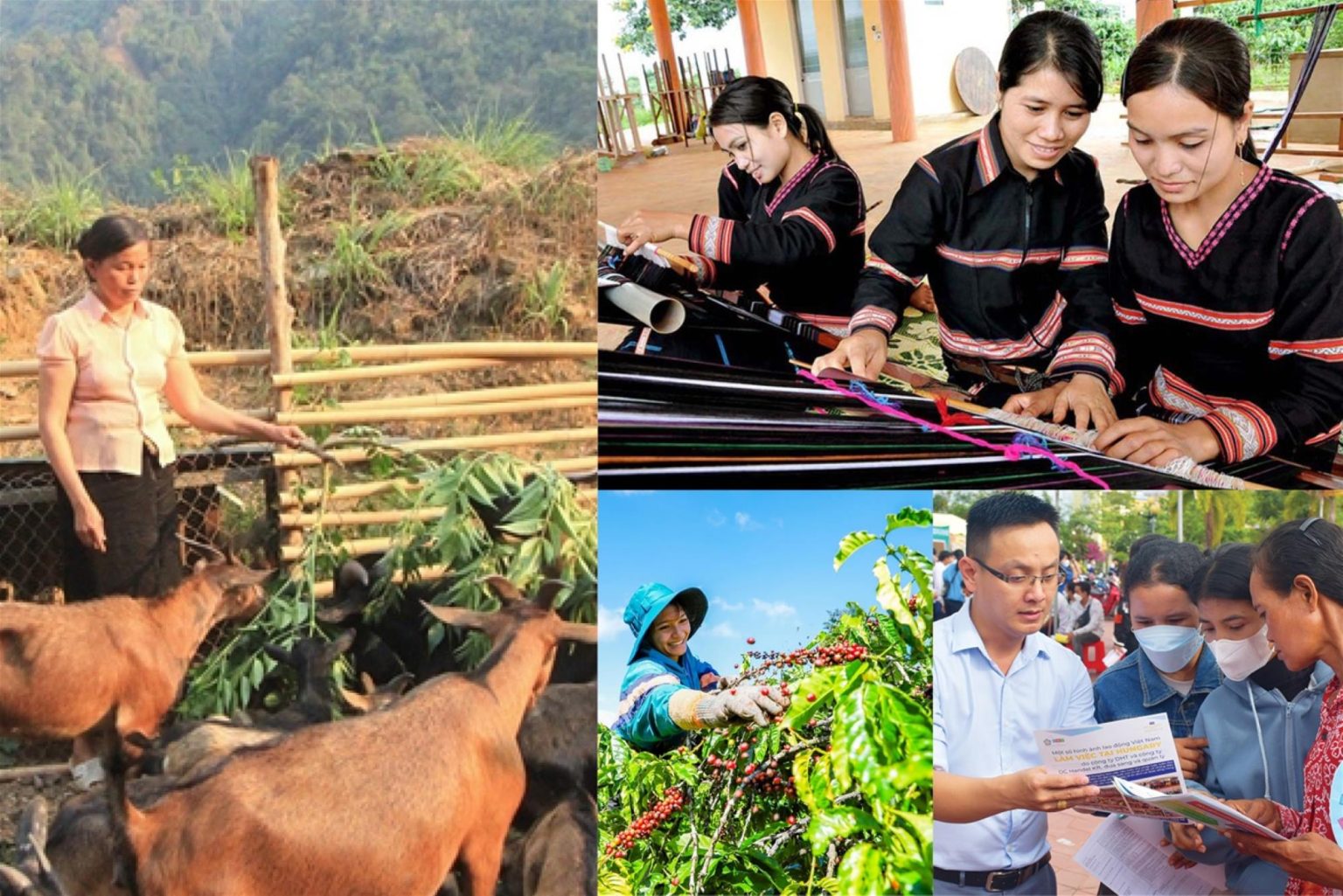 Tình hình giáo dục đào tạo và lao động việc làm của các Dân tộc thiểu số